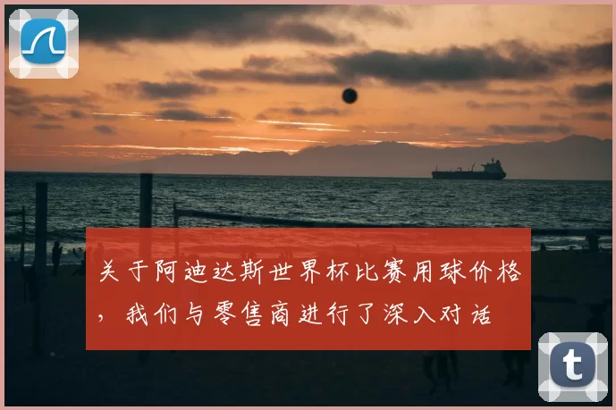 关于阿迪达斯世界杯比赛用球价格,我们与零售商进行了深入对话