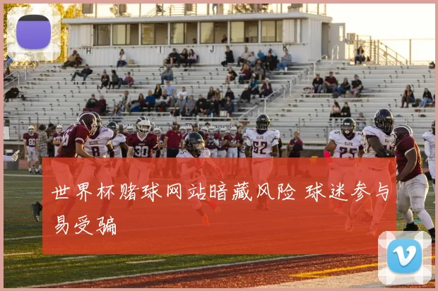 世界杯赌球网站暗藏风险 球迷参与易受骗