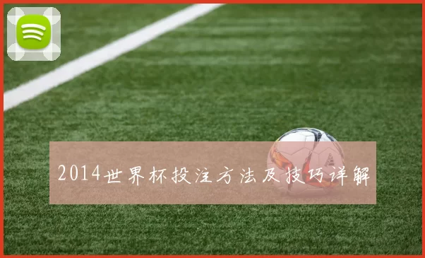 2014世界杯投注方法及技巧详解
