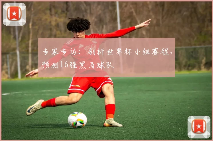 专家专访:剖析世界杯小组赛程,预测16强黑马球队