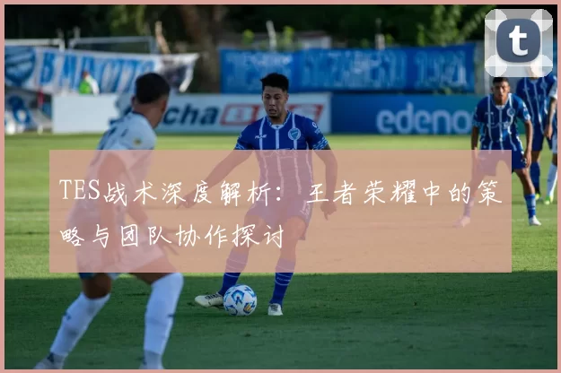 TES战术深度解析：王者荣耀中的策略与团队协作探讨