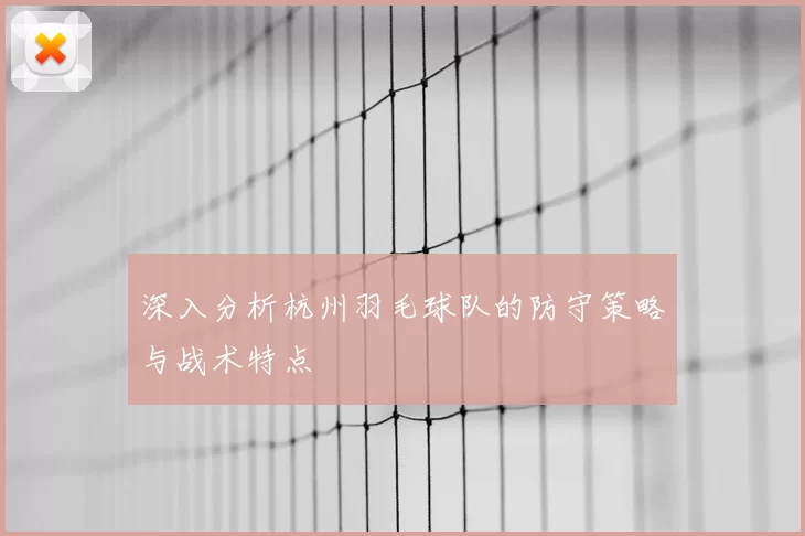 深入分析杭州羽毛球队的防守策略与战术特点