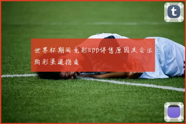 世界杯期间竞彩app停售原因及合法购彩渠道指南