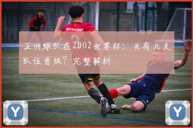 亚洲球队在2002世界杯：共有几支队伍晋级？完整解析