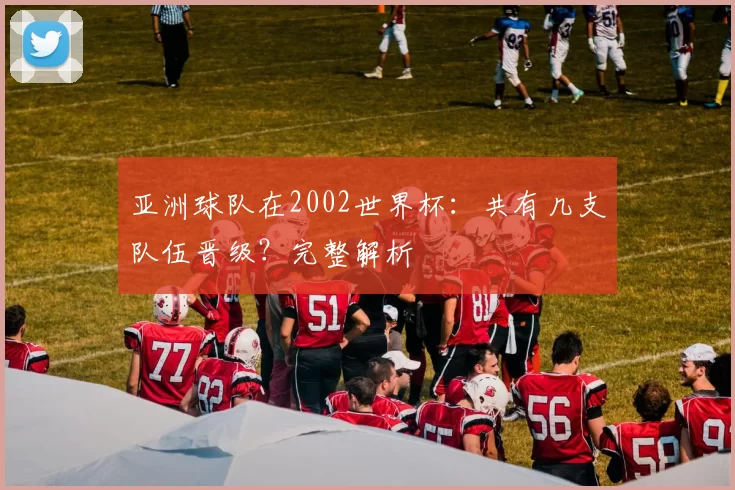 亚洲球队在2002世界杯:共有几支队伍晋级?完整解析