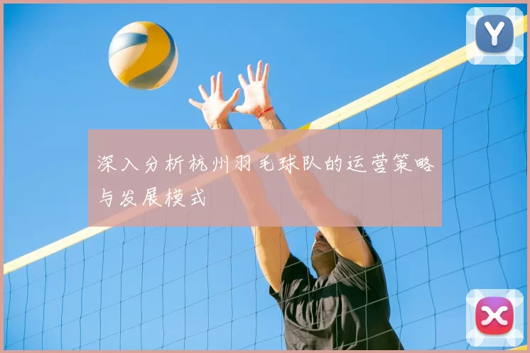 深入分析杭州羽毛球队的运营策略与发展模式