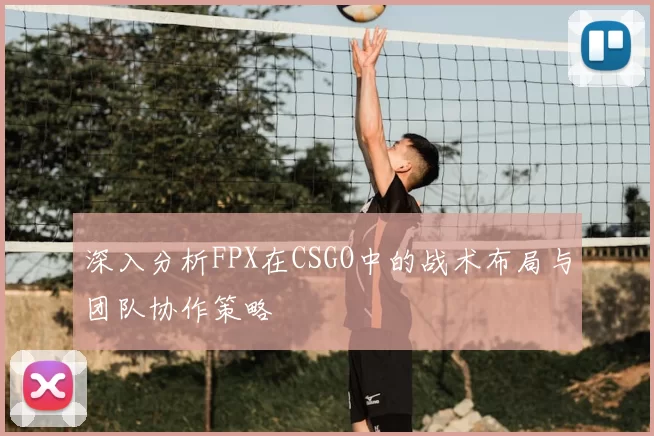 深入分析FPX在CSGO中的战术布局与团队协作策略